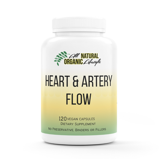 Heart And Artery Flow